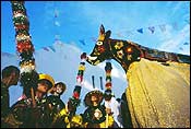 Bumba-meu-boi, Maranh�o